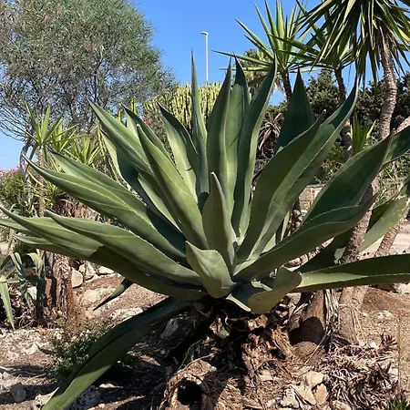 La Torretta Di * אונינה